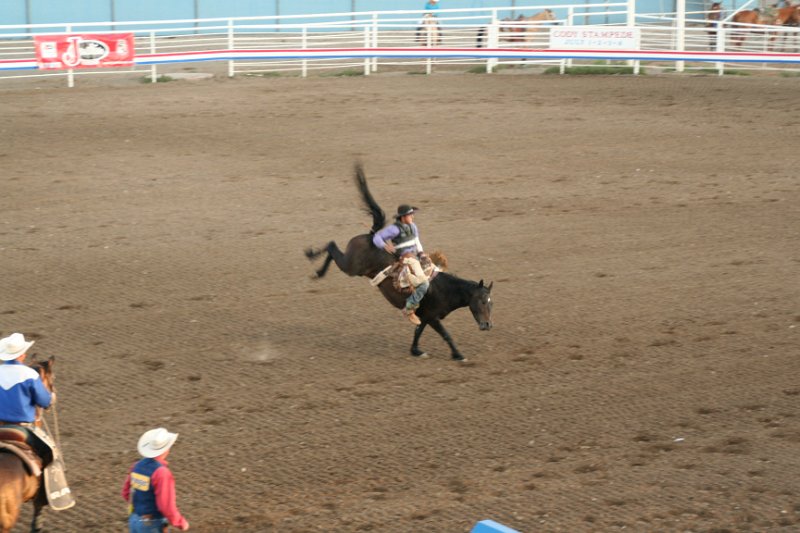 Trip (191).JPG - Bucking broncos at the Cody, Wyoming rodeo